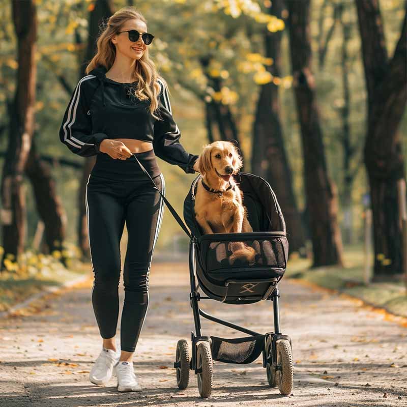 Kinderwagen für einen Hund mit einem Goldenen